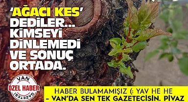 Van'da 'ağacı kes' dediler, dinlemedi ve sonuç