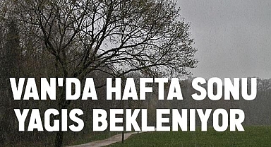 Van'da hafta sonu yağış bekleniyor