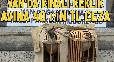 Van'da Kınalı Keklik avına 40 bin TL ceza kesildi