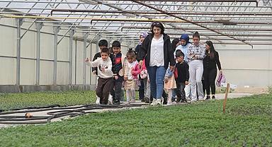 Van’da Minikler Seraları Keşfetti