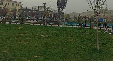 Van’da Silahlı Kavga
