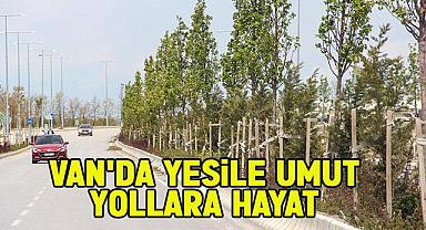 Van’da Yeşile Umut, Yollara Hayat