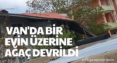 Van Haber - Van'da bir evin üzerine ağaç devrildi