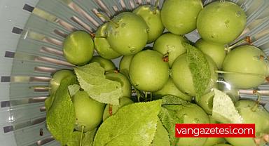 Van’da Erikleri Suda Bekletmeden Tüketmeyin - Van Haber 
