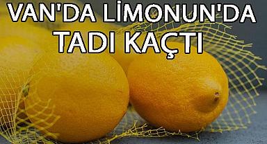 Böyle Giderse Limon Dalında Kalacak!