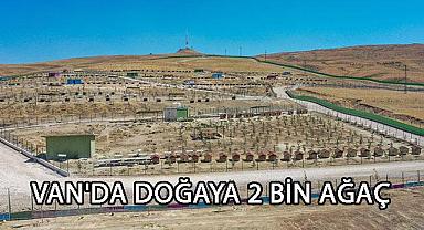 Van’da Doğaya 2 Bin Ağaç