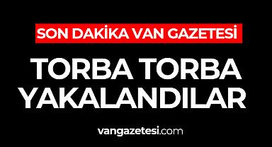 Van Haber - Van'da torba torba yakalandılar 