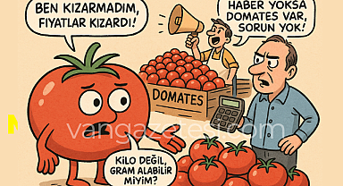 Van ilinde Haber Yoktu, Domates Manşet Oldu