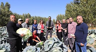 Tescilli Erciş Lahanası Denetimden Tam Not Aldı