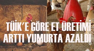 TÜİK'e göre et üretimi arttı, yumurta azaldı