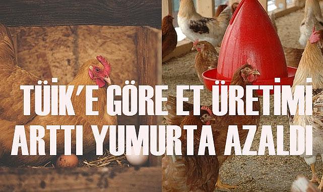 TÜİK'e göre et üretimi arttı, yumurta azaldı