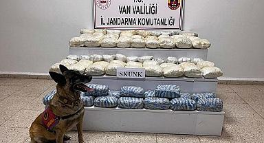 Van'da 47,8 Kilo Skunk Ele Geçirildi