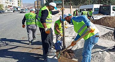 Van'da Mareşal Fevzi Çakmak Caddesi ağaçlandı