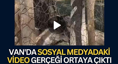 Van'da Sosyal Medyadaki Video Gerçeği 