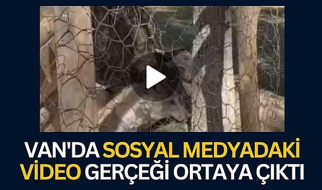 Van'da Sosyal Medyadaki Video Gerçeği