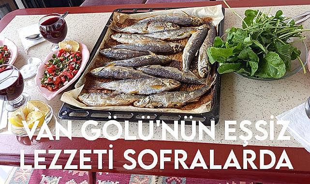 Van Gölü'nün Eşsiz Lezzeti Sofralarda