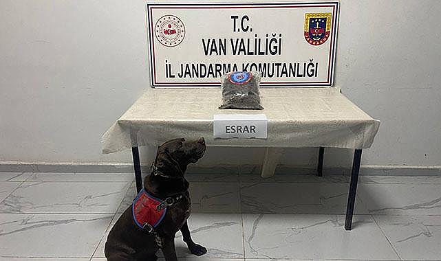 Van ve Hakkari'de 999 Gram Kubar Esrar Ele Geçti