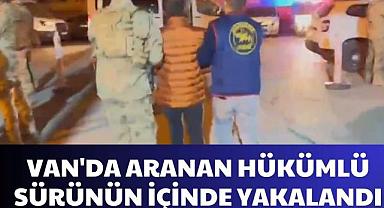 Van'da Aranan Hükümlü Sürünün İçinde Yakalandı