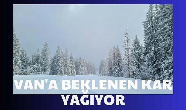 Van'da beklenen kar yağıyor