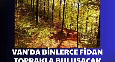 Van'da Binlerce Fidan Toprakla Buluşacak