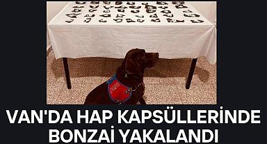 Van'da Hap Kapsüllerinde Bonzai Yakalandı