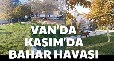Van'da Kasım’da bahar havası