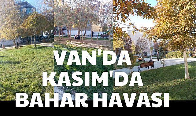 Van'da Kasım’da bahar havası