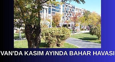 Van’da Kasımda Bahar Havası