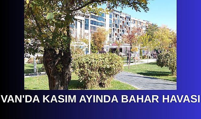 Van’da Kasımda Bahar Havası