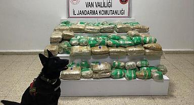 Van’da 51 Kilo Skunk Ele Geçirildi