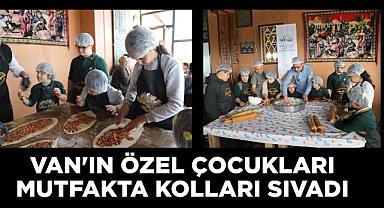 Van'da Gönüllere Dokunan Etkinlik