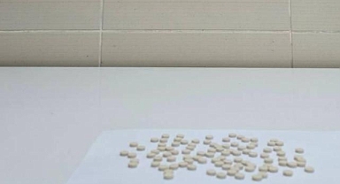 Van Başkale'de Bonzai, Skunk ve Sentetik Hap ele geçirildi