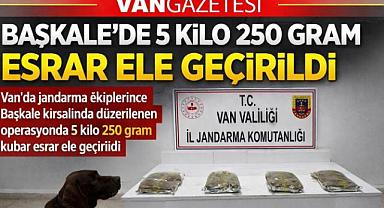 Van'da 5 Kilo 250 gram yakalandı 