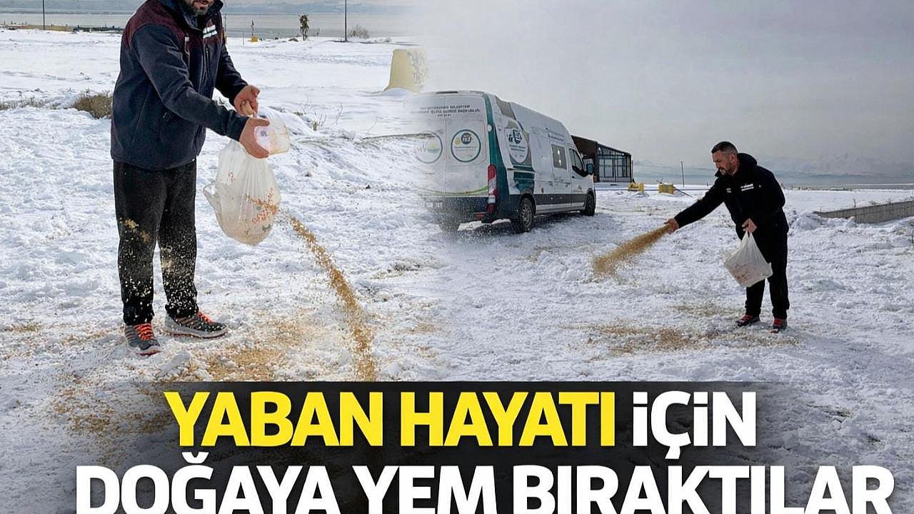 Van'da doğa hayvanlari unutulmadı