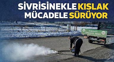 Van'da kışlak ilaçlama çalışmaları