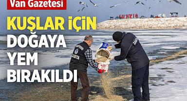 Van'da kuşlar için doğaya yen bırakıldı 
