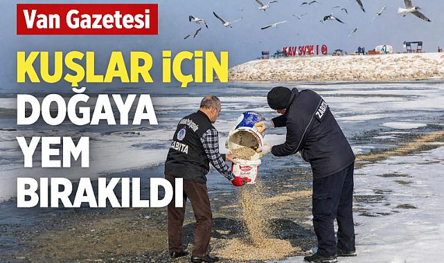 Van'da kuşlar için doğaya yen bırakıldı