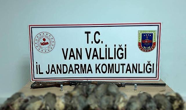 Van’da Kaçak Avcılara 87 Bin TL Ceza
