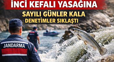 İnci Kefali Göçü Öncesi Kaçak Avcılığa Sıkı Takip