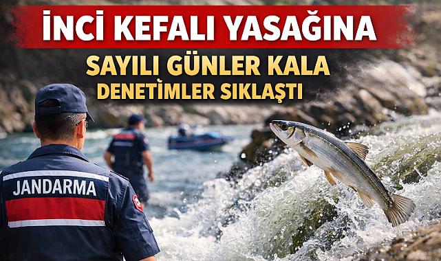 İnci Kefali Göçü Öncesi Kaçak Avcılığa Sıkı Takip