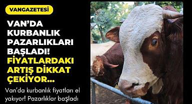 Van'da kurbanlık fiyatları el yakıyor! 