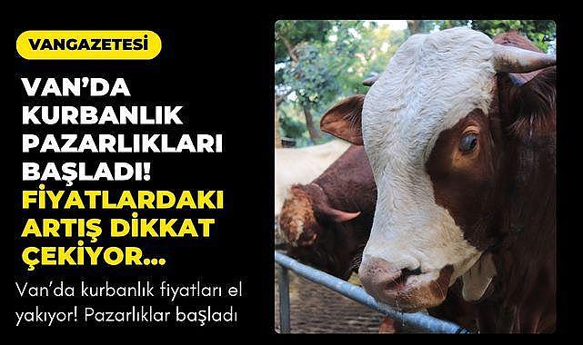Van’da kurbanlık fiyatları el yakıyor!