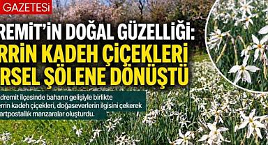 Edremit'te Zerrin Kadeh Çiçekleri Doğayı Renklendirdi