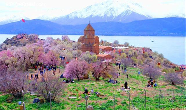 Van Badem Çiçeği Festivali 2026 Tarihi Belli Oldu