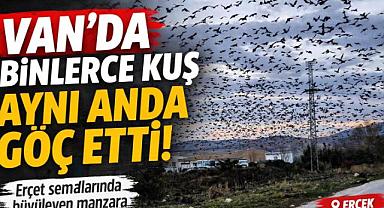 Van'da Binlerce Kuş Aynı Anda Göç Etti