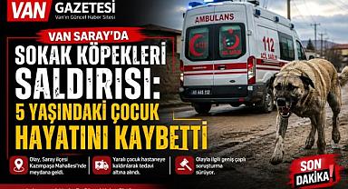Van'da Sokak Köpekleri Çocuklara Saldırdı
