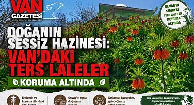 Gevaş'ın Simgesi Ters Laleler Koruma Altında