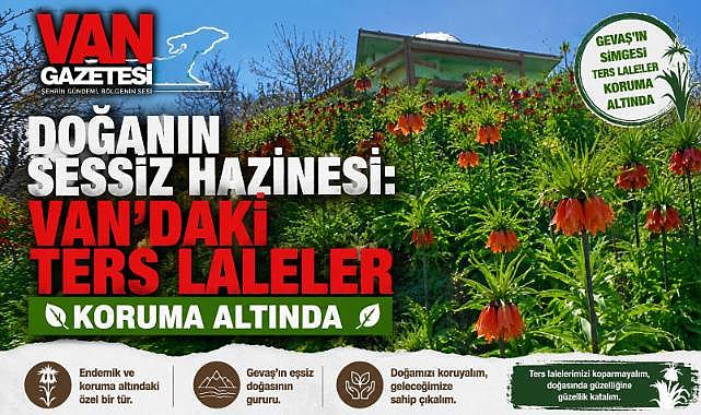 Gevaş'ın Simgesi Ters Laleler Koruma Altında