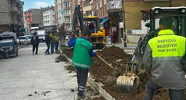 İpekyolu Daha Yeşil Bir Görünüme Kavuşuyor