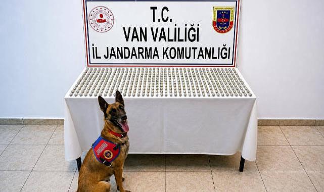 Van’da 3 Kilo 374 Gram Toz Esrar Ele Geçirildi